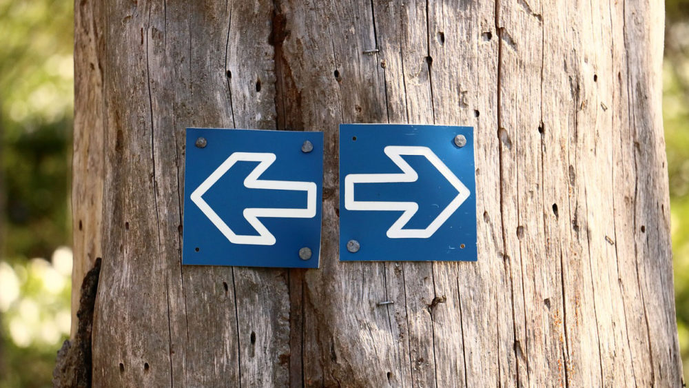 Nofollow Links WordPress
