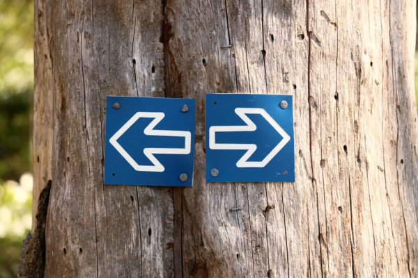Nofollow Links WordPress