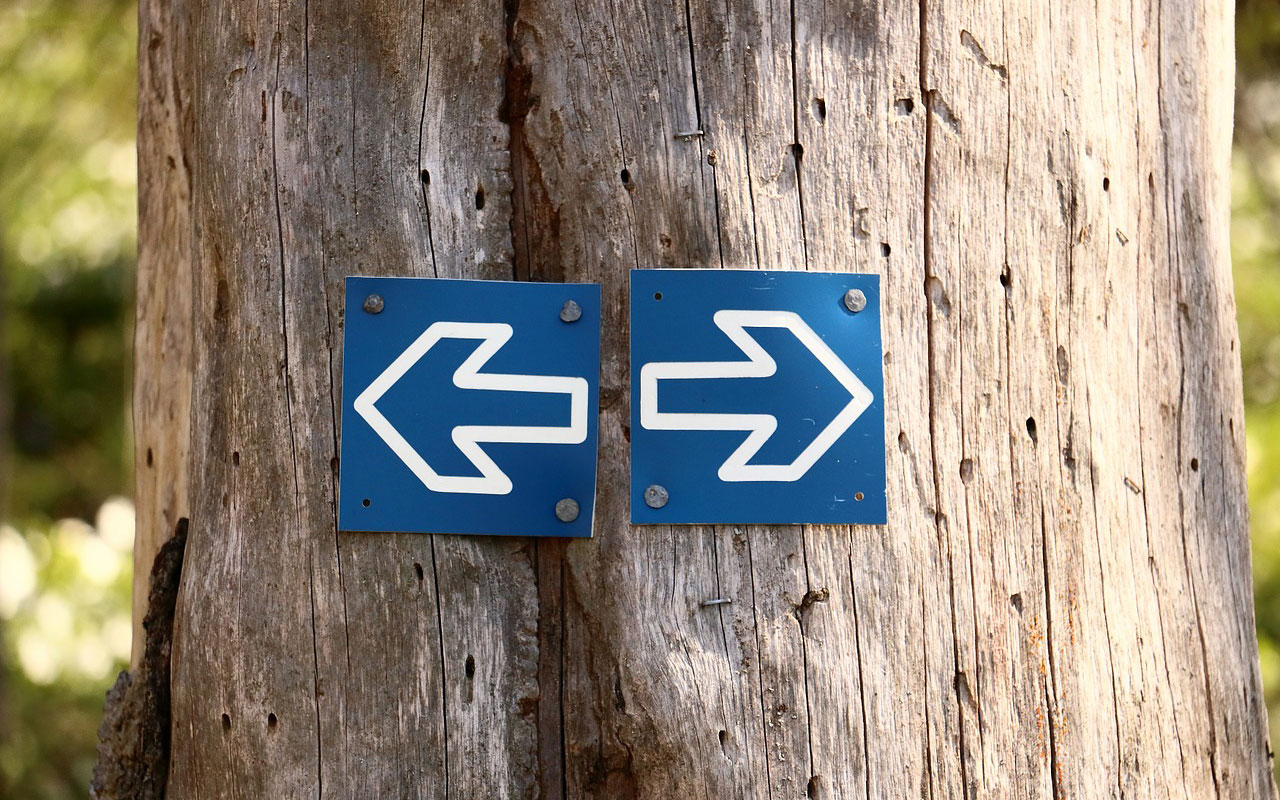 Nofollow Links WordPress